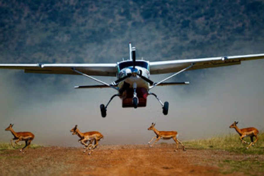 Flight Package- 3 days Masai Mara safari